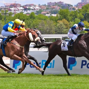 Entrada Premium + Visita guiada Madrid