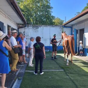 Visita guiada centro de entrenamiento San Sebastian